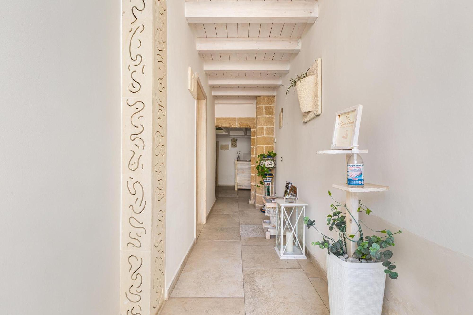 Clara Domus 3*